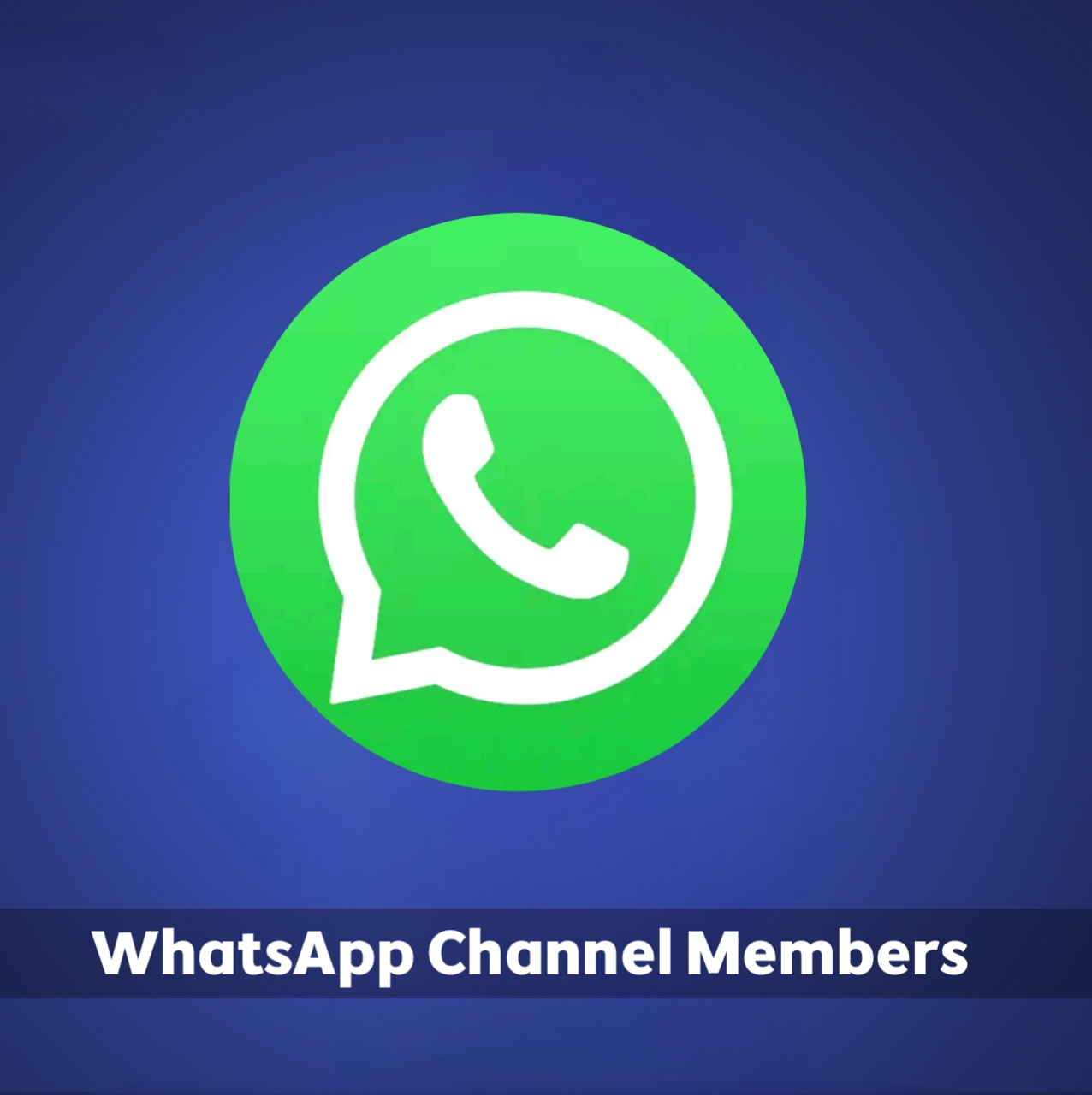 WHATSAPP CHANNEL MEMBERS